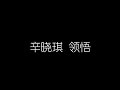 辛晓琪 领悟 无损音乐FLAC 歌词LYRICS 纯享 