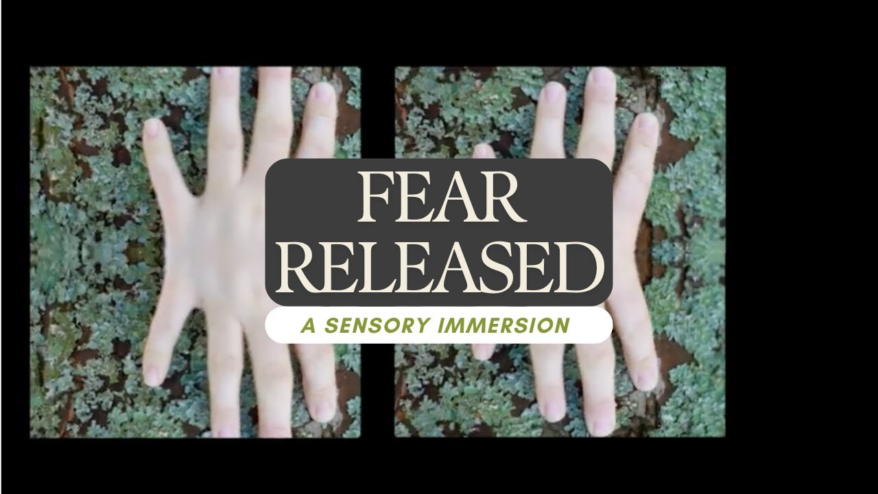 Fear Released | A Sensory Immersion