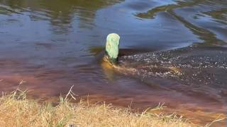 'In a good position right now ' | Texas emergency teams on watch with Nueces River