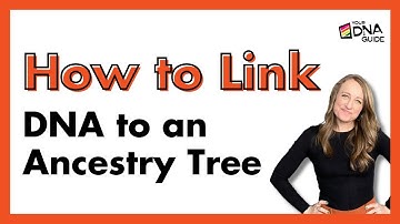 How to link DNA to Ancestry Tree | Ancestry DNA