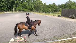 Kelsy Peterson and Reina Danzante SFI Open Horsemanship pattern