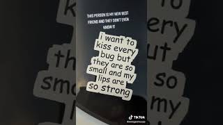 Best car stickers ever? POSSIBLY!