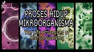 EduTikTok Proses Hidup Mikroorganisma...