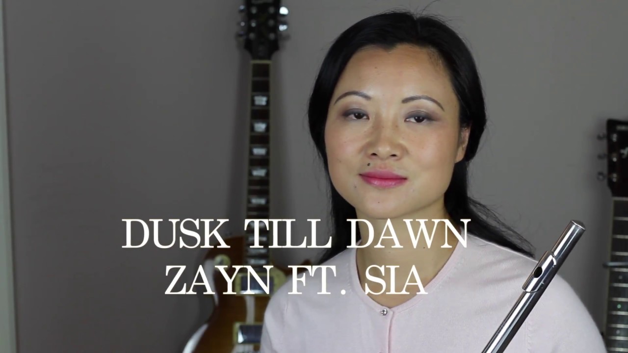 Dusk Till Dawn - ZAYN Ft.  SIA (Flute Covers)