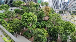 Dusit Arun at Dusit Central Park | Bangkok’s Largest Sky Park