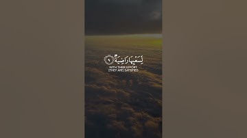 وجوه يومئذ ناعمة | القارئ عبدالرحمن مسعد
