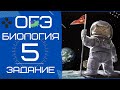 ОГЭ Биология 2020. Задание 5 Рохлов