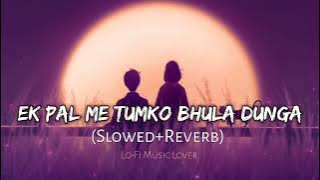 Ek Pal Me Tumko Bhula Dunga [Slowed Reverb] Lo-Fi Music Lover