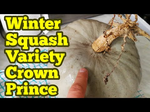 Video: Knyazhik - Useful Properties And Use Of Prince, Varieties Of Prince, Seeds. Siberian Prince, Alpine, Clemat