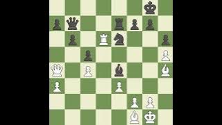 White Sarana,A,Black Predke,AQueen's Gambit Declined: Three Knights, Barmen Variation,Event FIDE Wo