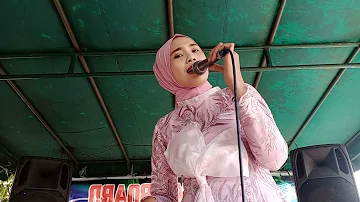 Ada gajah dibalik batu cover Vina