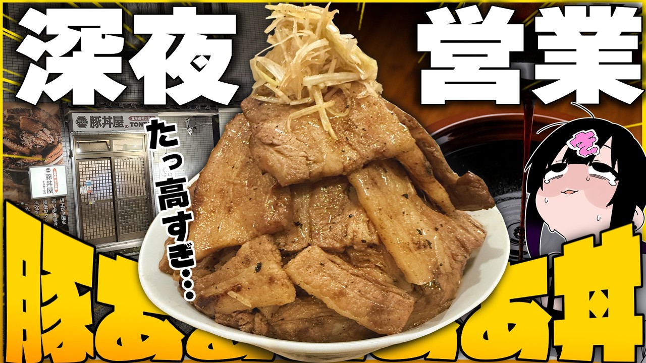 【深夜営業】“高さ〇cmの特盛肉丼”だと！？デカ盛り豚丼が幸福の極みすぎる！