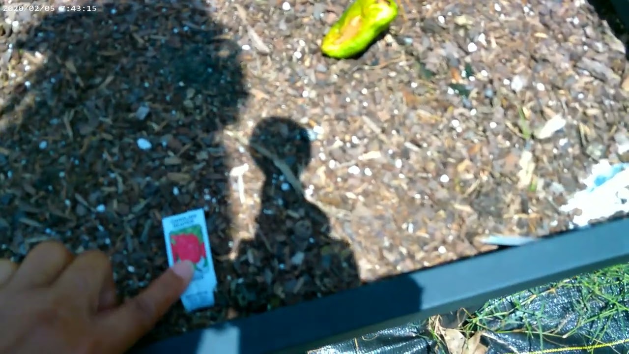 July Homestead Garden Tour2023 Part1!