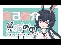 【自己紹介】はじめまして!兎海ののなの!【新人Vtuber】