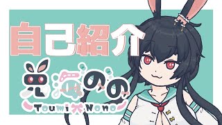 「【自己紹介】はじめまして！兎海ののなの！【新人Vtuber】」のサムネイル