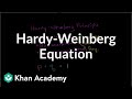 Understanding The Hardy-Weinberg Principle In Population Genetics
