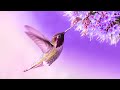 Soothing Meditation | Relaxing Ambient Music 432Hz | Spiritual Healing Frequency | Relaxing Sounds