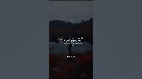 تفاعل القارئ شريف مصطفى 🎧💜 || فلولا إذا بلغت الحلقوم.. ||Quran status