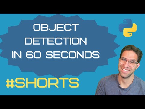 Object Detection in 60 Seconds using Python and YOLOv5 #shorts