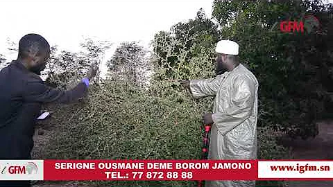 Serigne Ousmane Dme : Le chemin le plus rapide pou...