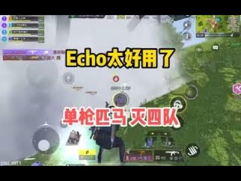 【使命召唤手游】路人四排，单枪匹马连斩四队，Echo太好用了吧？#顺仙