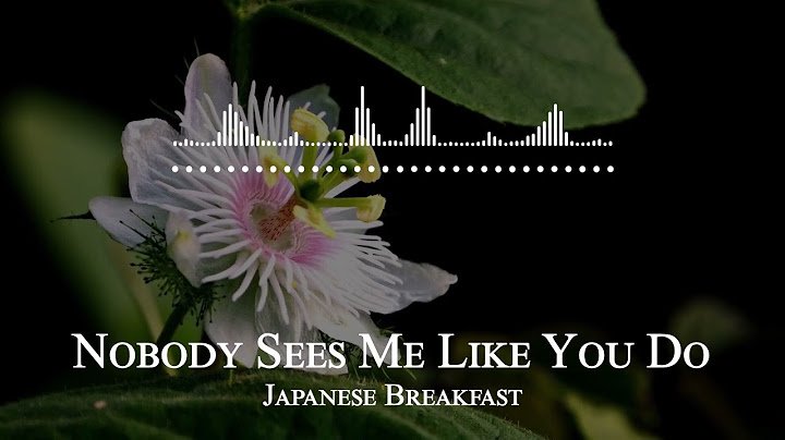 Nobody sees me like you do japanese breakfast lyrics