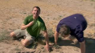 Wild Kratts - Desert Elves-Clip8