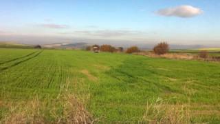 T. M de Marchena labores agrícola abonar el trigo