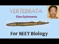 @ Vertebrata - part 1