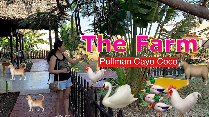 Pullman Cayo Coco | The Farm | Cute cuddly animals at the resort | Travel Cuba S2E10