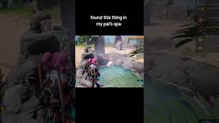dont do it again #tiktok #gaming #funny #palworldgame #palworld #shorts #fyp #shortsfeed