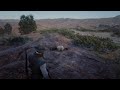 RDR2 what a dumbass