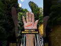 圧倒的な強運を誇る龍の手相です。一番くわしい鑑定はプロフのLINEから無料です✨️#手相 #手相占い #スピリチュアル #金運 #龍の手相