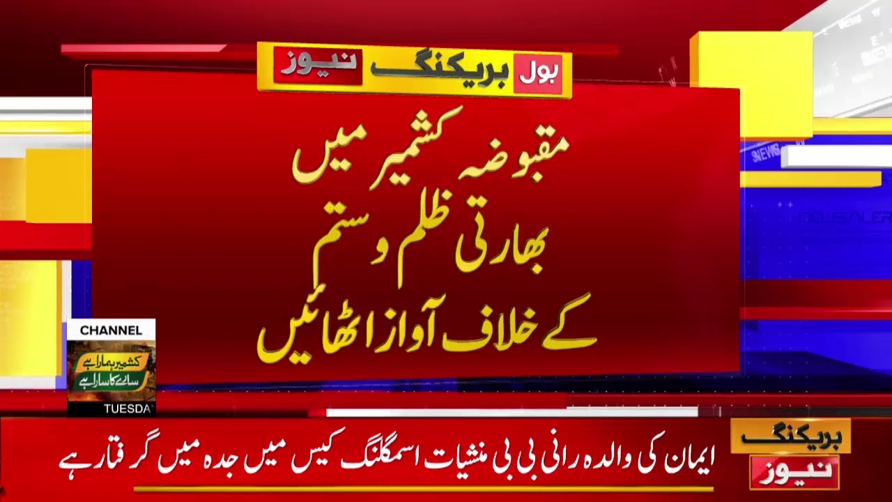 BOL News#Arsalan Rizvi - YouTube