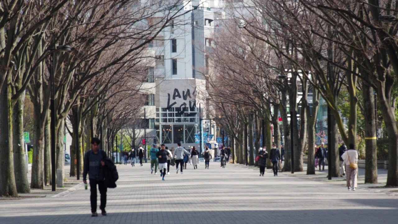 春らしい気持ち良い月曜日 気温は１８ 代々木公園 ケヤキ並木通り 3 9 17 Youtube