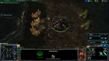 [HD] Starcraft 2 beta, 1080p.  2v2 Zerg and Terran