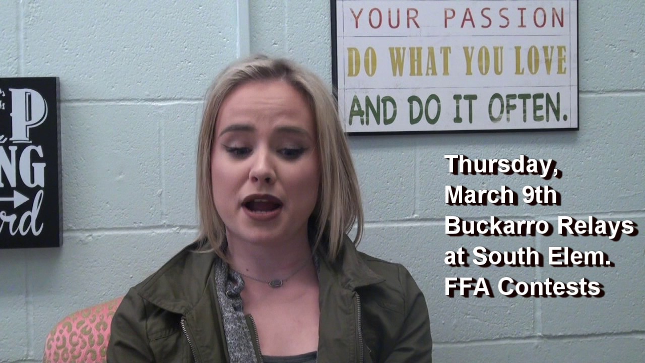 BISD Online Video Announcements 030617 031217 YouTube