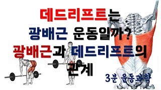 데드리프트는 광배근 운동일까? 광배근과 데드리프트와의 관계