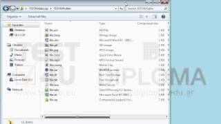 Extract only the files file.gif and file.avi from the TEST4Udata.zip compressed file into the...