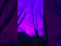 Good or bad dream? #eerie #liminalspace #dreamcore #nostalgicvibes #cinematic #liminaldream