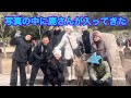 記念撮影中に鹿さんが入ってきた‼️外国人観光客も満喫