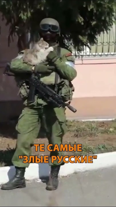 😽Злые русские! #shorts - YouTube