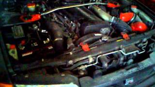 MOV07614