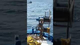 4 τουρκικές ανεμότρατες, μια ανάσα από τα Τσόνια (το βίντεο είναι του ψαρά Παναγιώτη Αντωνάκα)