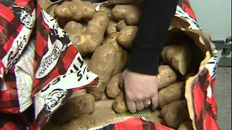 On the Job: Smokes Poutinerie