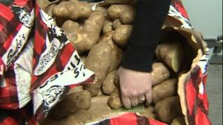 On the Job: Smokes Poutinerie
