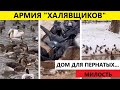 Армия &quot;халявщиков&quot; прилетела в Алматинский зоопарк