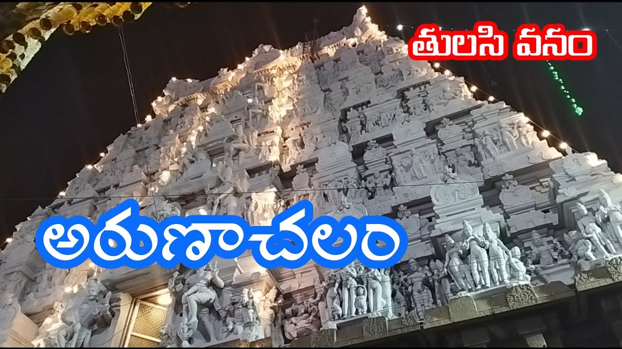 Arunachalam Temple View | Tulasi Vanam | Arunachalam Giri Pradarshana ...