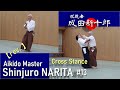 Revaikido master  shinjuro narita 13