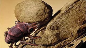 One must imagine Biter happy